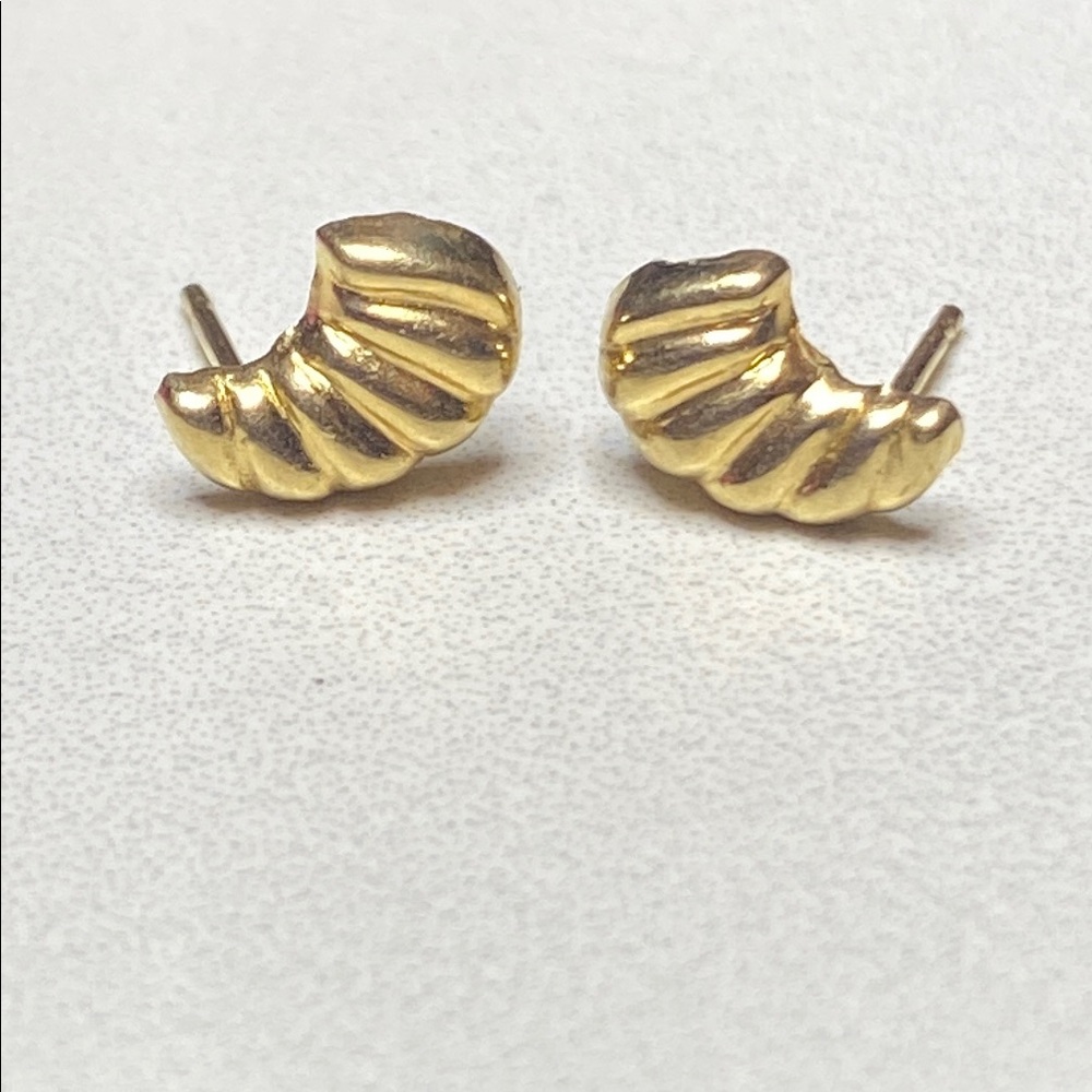 10K Gold Shell Stud Earrings‎